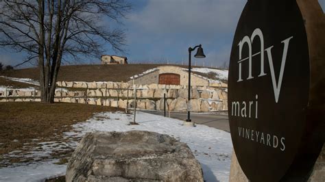 Mari vineyards - Tradition Meets Innovation . Home; Experience. Visit The Winery; Menus & Specials; Discover. Mari; Team; Vineyards; Caves; Sustainability; Photo Gallery; Shop. Reds ...